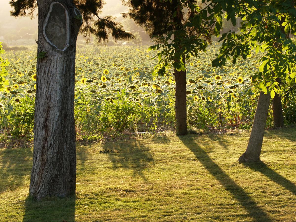 Bed and Breakfast Domaine De Luzenac Val-du-Faby Esterno foto