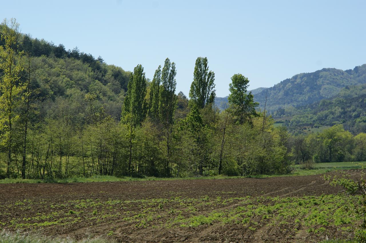 Bed and Breakfast Domaine De Luzenac Val-du-Faby Esterno foto